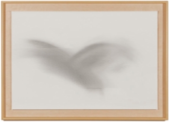 Tom Marioni: Birds in Flight - Anglim Gilbert Gallery, Geary St.