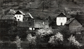 Du cycle Meditations sur la parti - Ferdinand Valent