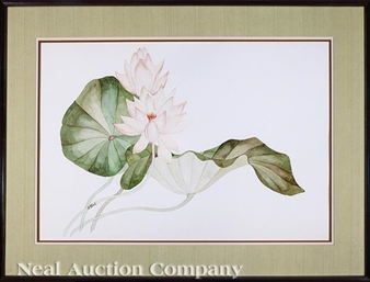 Water Lilies - Ferris Patrick Hotard