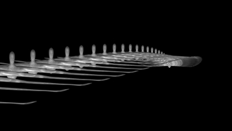 Anke Röhrscheid: Phenomena in Space - DNA Galerie