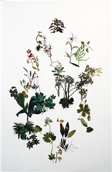 Untitled - Irit Hemmo