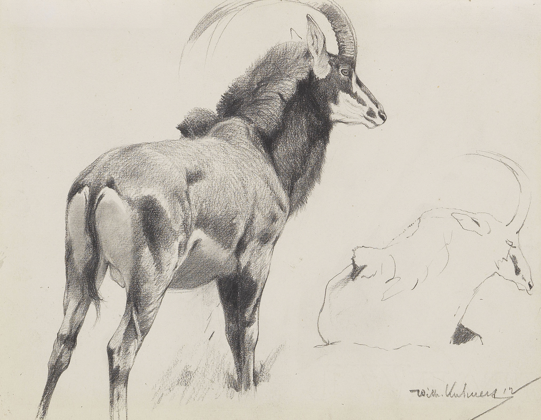 Rappenantilope by Wilhelm Kuhnert, 1912