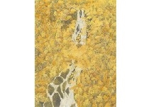 Waterfall - Hajime Ogasawara