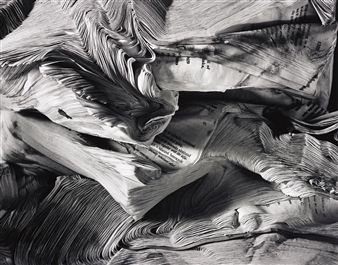 Detail of Book Damaged by Water - Abelardo Morell