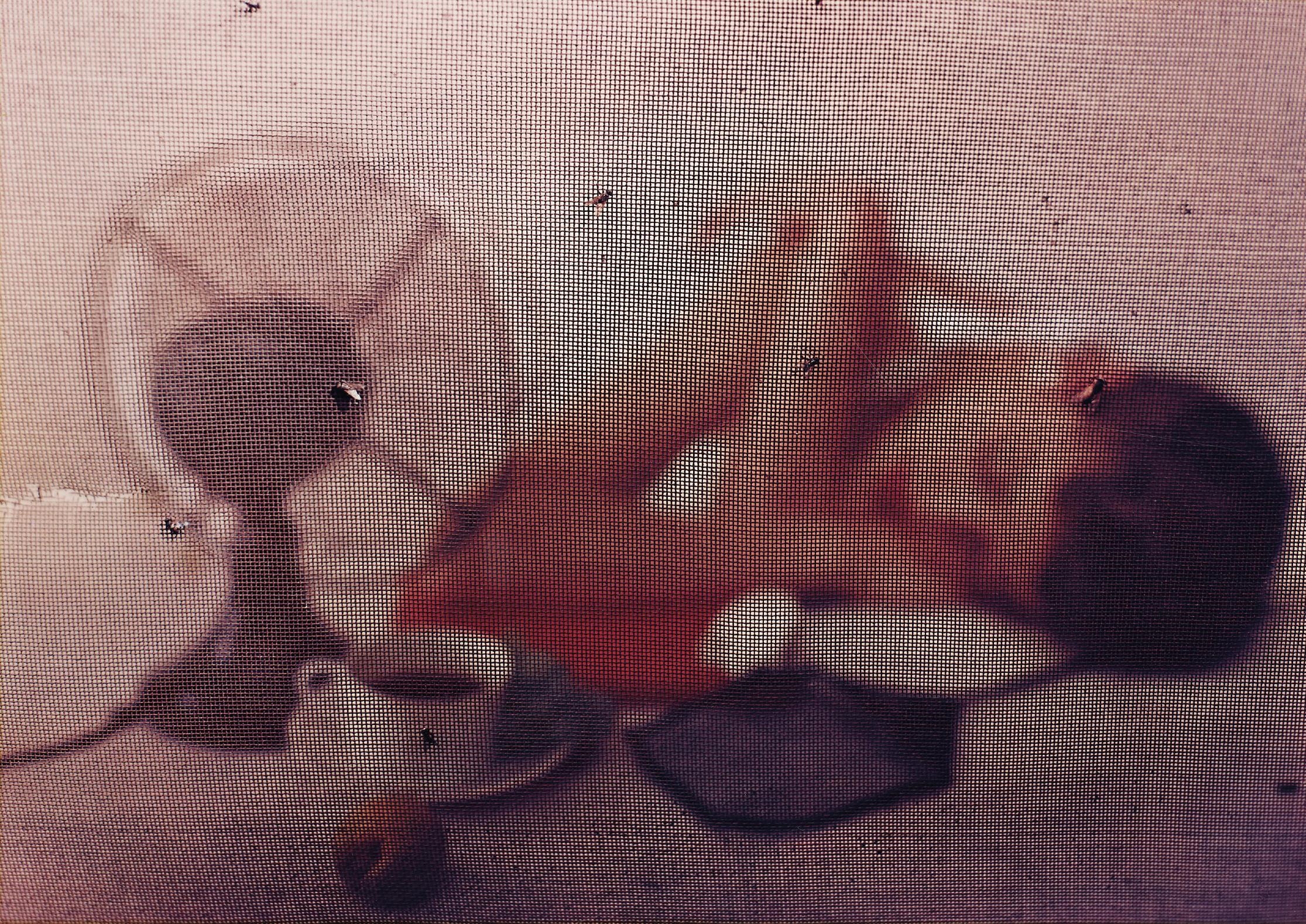 Artwork by Irving Penn, Summer Sleep, New York, Made of Dye transfer print