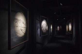 Luo Dan: When To Leave - m97 Gallery