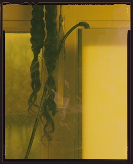 Ketuta Alexi-Meskhishvili: I Move Forward, I Protozoan, Pure Protein - Galerie Micky Schubert