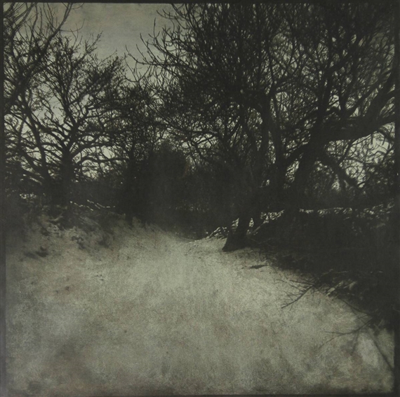 Dune landscape with trees and bushes