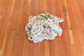 “The Accursed Share” at Artspeak