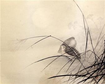 Studies of Quail and Wading Birds - Ozawa Minamitani