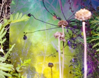 Karine Laval: Artificial by Nature - Benrubi Gallery