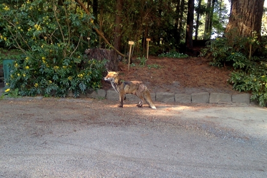 David Horvitz - ChertLüdde