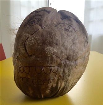 The Aging Coconut - Roberto Paradise