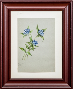 2 works: Gentian & Freezia Alba - Elise M. Mourraile