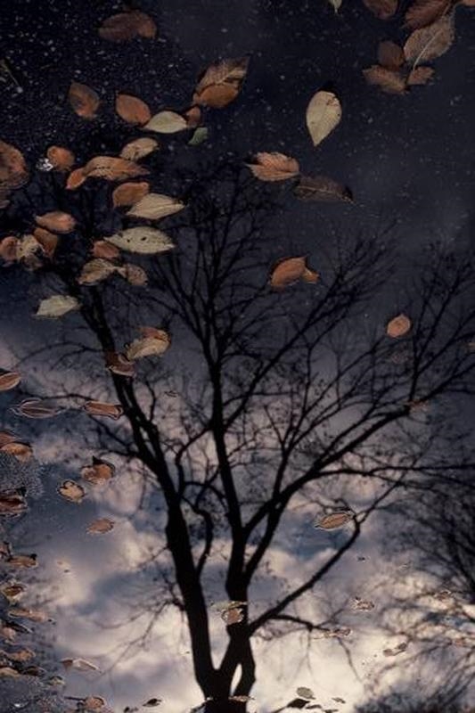 Artwork by Robert Gambee, After the Storm, Made of Digital C-Print Photograph