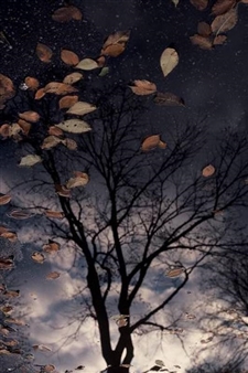 After the Storm - Robert Gambee