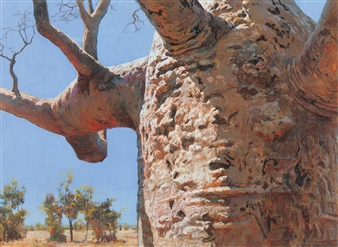 Boab - Tony Windberg