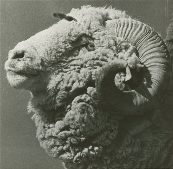 A Ram by Georgi Zelma, Circa 1920s, printed circa 1940s-1950s
