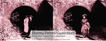 Stormy Petrel - CUC Gallery