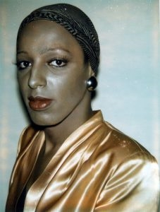 Warhol and Wilhelmina: The Ladies and Gentlemen Series - Brauer Museum of Art