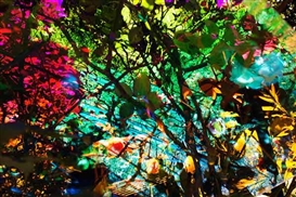 The Garden of Virtual Beauty: A Conversation with Karine Laval