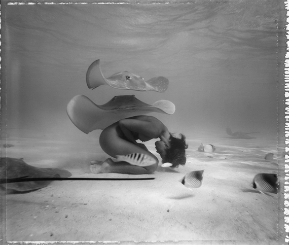 Ian and Erick Regnard | Cocoon (2007 - 2012) | MutualArt