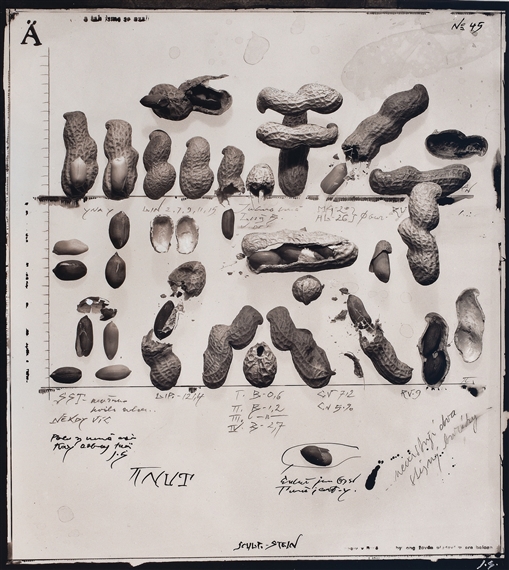 Untitled by Jiří Stach, 1991