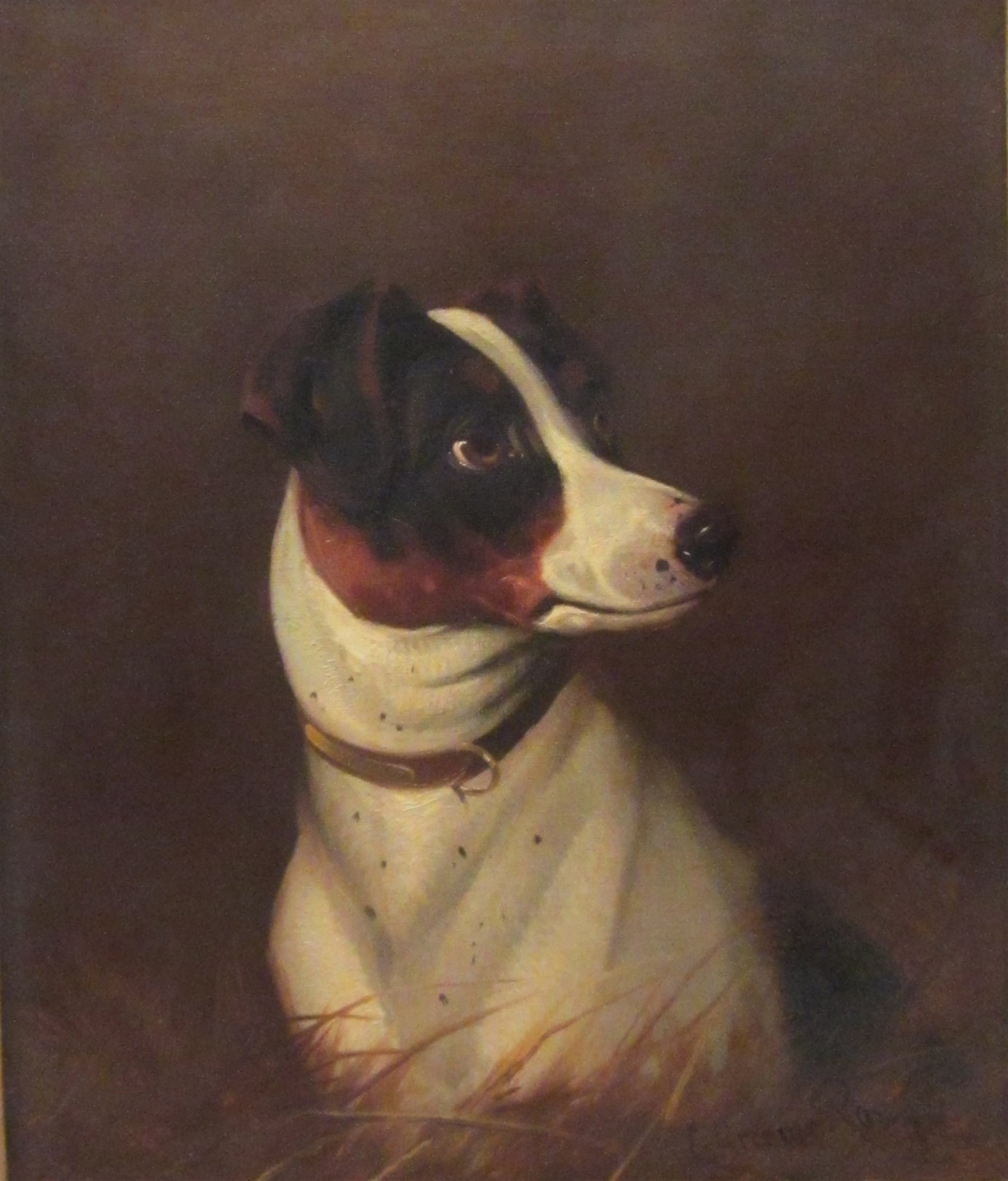 Colin Graeme Roe | Study of a Jack Russell | MutualArt