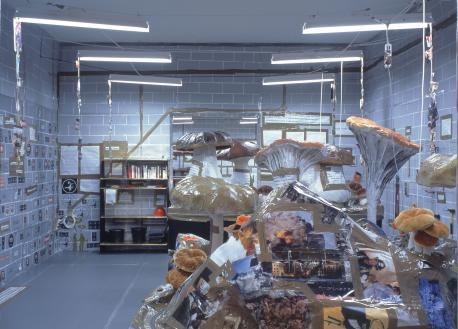 Thomas Hirschhorn: Double Garage - Museum Brandhorst