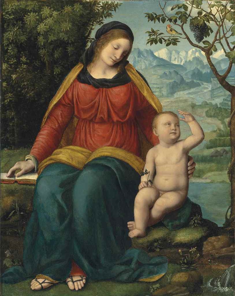 Madonna of the Grapevine by Bernardino Luini