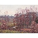 Young oaks by John E. Bundy