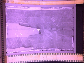 Random Orange - Schwartz Gallery