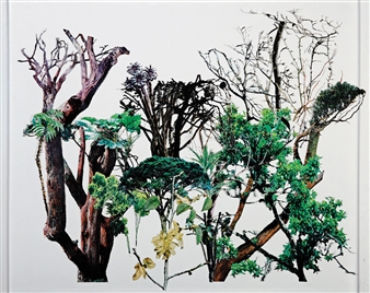 Foliage - Irit Hemmo