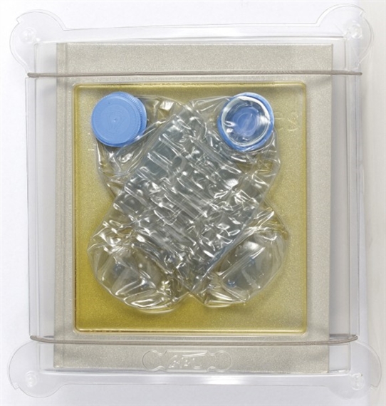 Chimeric POLYMERS by César Baldaccini, Arman