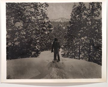 RongRong & inri: Tsumari Story | Exhibitions | MutualArt