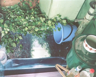 Certain Things - ClampArt