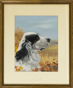 Study of an English setter's head - Oliver R. Shattuck