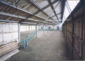 Memories of Montevideo: the Antwerp avant-garde scene in the early ‘80s - M HKA, Museum of Contemporary Art Antwerp