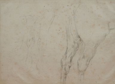 Etude de l'arrière train d'un cheval by Eugène Delacroix
