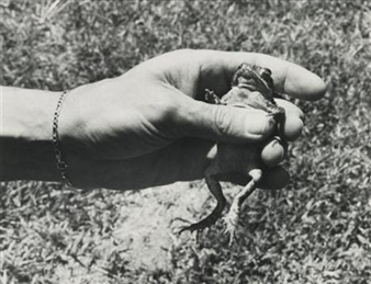 In a Series - Adam Baumgold Fine Art