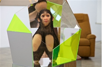 New Romance:  Art and the Posthuman - Museum of Contemporary Art Australia (MCA)