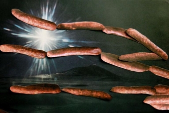 Gillian Wylde: The Day the World Turned Day Glo - Arnolfini