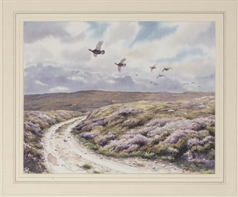 Grouse over the track - Owen Williams