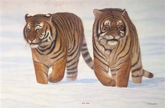 Snow patrol - James Bartholomew