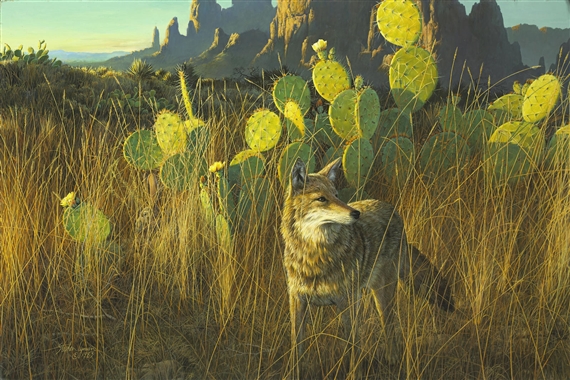 Stephen Lyman | Coyote with Prickly Pear Cactus (1983) | MutualArt
