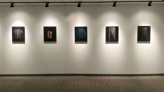 Katherine Cambareri: Well, What Were You Wearing? - Arcadia University Art Gallery