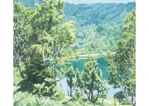 Summer in Kidoike, Blossoms Shiga Kogen - Shigehiko Ishikawa