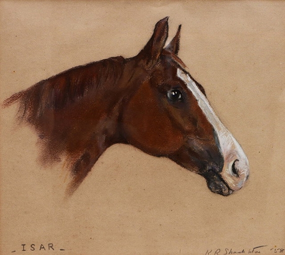 K. R. Shackleton | Study of a horse's head | MutualArt