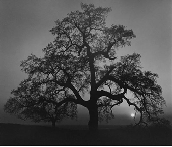 19th Annual Summer Sale - Alan Klotz Gallery