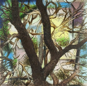 Tree in Patio - Edward Biberman